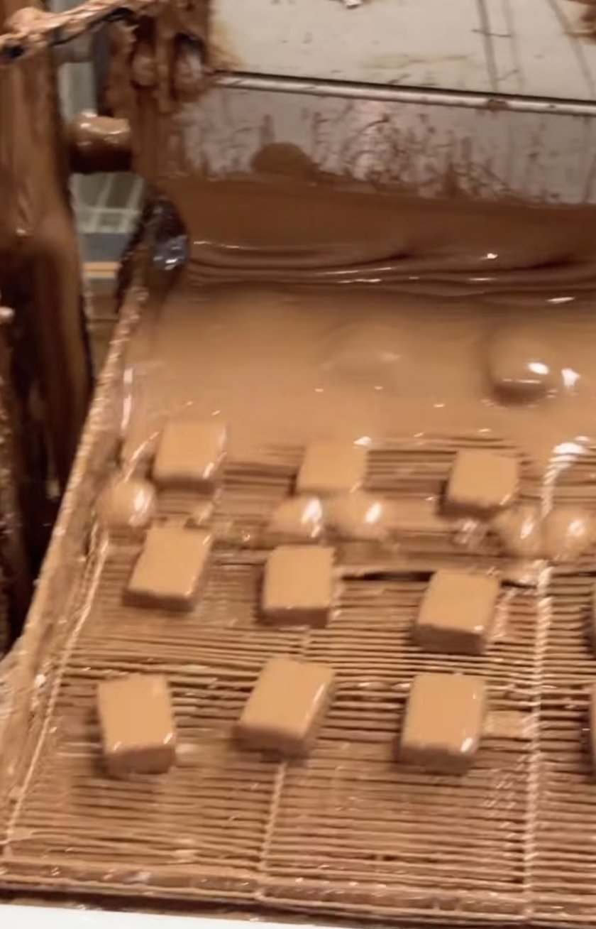 Truffle centers riding through a curtain of milk chocolate on the enrobing machine belt
