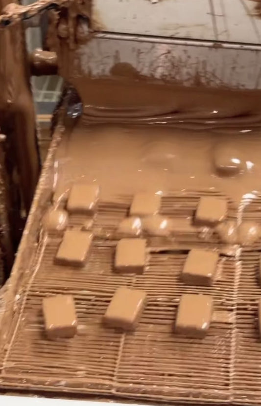 Truffle centers riding through a curtain of milk chocolate on the enrobing machine belt