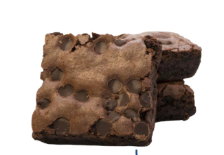 Two pieces of brown decorative stone on a white background