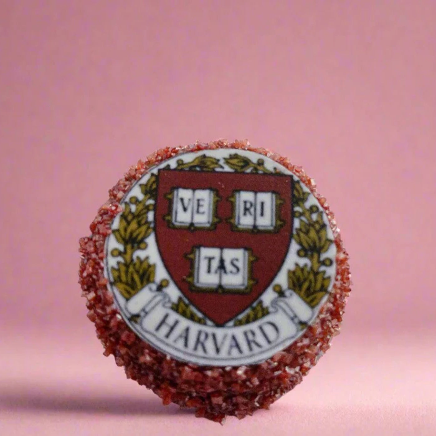College Acceptance -Large Oval