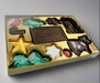 Close-up of Kosher for Passover Chocolate 10 Plagues box showing detailed chocolate plagues in colorful designs, ideal for holiday gifting.
