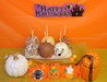 The Sweet Tooth Caramel Halloween Apples  pack